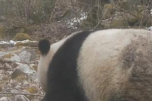 雷竞技即时竞猜平台截图3